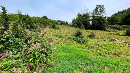 BAUGRUNDSTÜCK NAHE VELDEN! Natur, Ruhe & freier Karawankenblick!