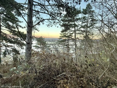 Traumhaftes Grundstück im Naturschutzgebiet – 880 m² mit Berg- und Donaublick!
