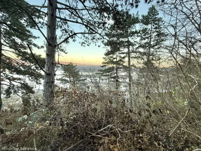 Traumhaftes Grundstück im Naturschutzgebiet – 880 m² mit Berg- und Donaublick! - Titelbild