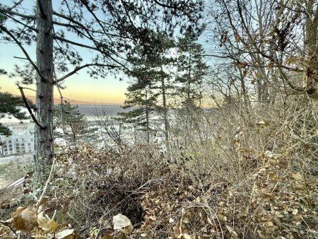 Traumhaftes Grundstück im Naturschutzgebiet – 880 m² mit Berg- und Donaublick!
