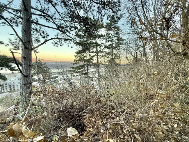 Traumhaftes Grundstück im Naturschutzgebiet – 880 m² mit Berg- und Donaublick! - Bild