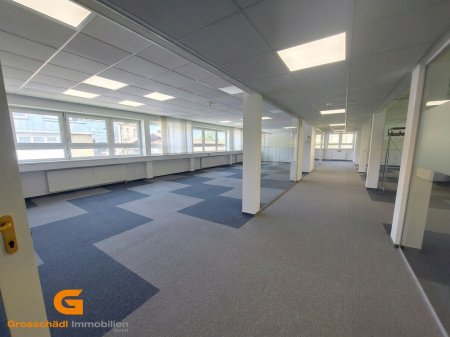 Repräsentativer Unternehmensstandort nahe Salzburg Süd - Büro mieten