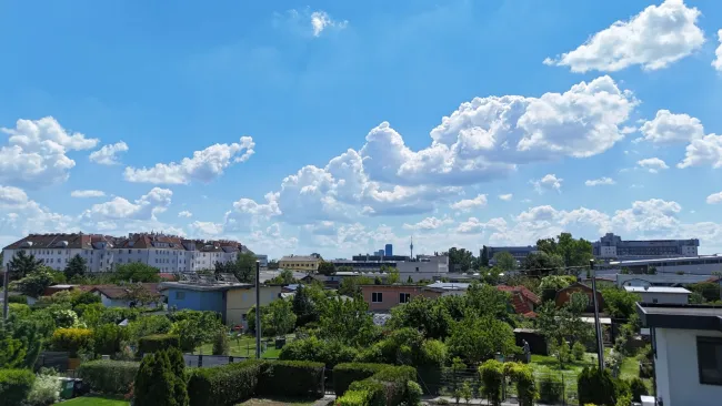 Eigentums-Baugrundstück in idyllischer Kleingartensiedlung – mit Sommerhaus & gepflegtem Garten - Bild