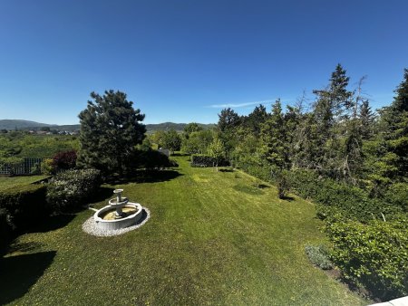 Modernes Einfamilienhaus in Ruhelage mit hochwertiger Ausstattung, uneinsehbarem Garten & Grünblick