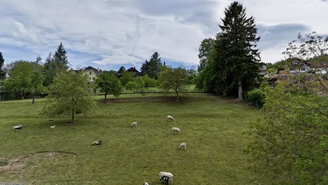 Ruhe, Natur & Weitblick – Exklusives Grundstück in begehrter Wohnlage - Bild