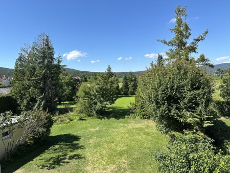 Traumhaftes Baugrundstück in Sooß: 720m², Fahnenparzelle mit Blick in die Weingärten
