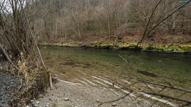 Zugang zur Mürz