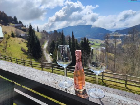 Traumhafte Ferienwohnung mit Balkon, Pool & Sauna in Kärntens Naturparadies!