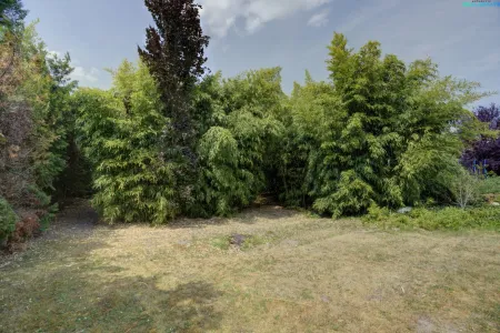 Traumgrundstück mit Altbestand in TOP Lage von Korneuburg