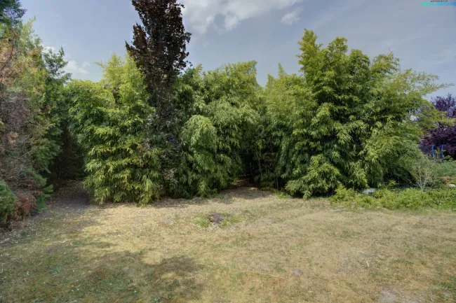 Traumgrundstück mit Altbestand in TOP Lage von Korneuburg - Bild