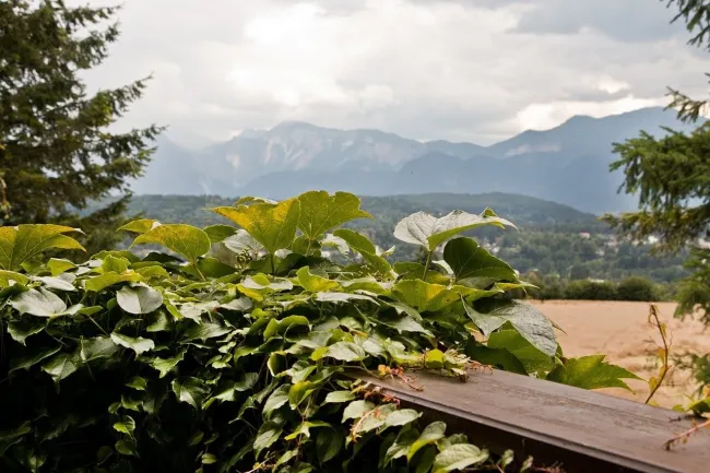 die Aussicht - unverbaubar