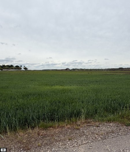 10.933m2 Bauland-Betriebsgebiet mit Erweiterungspotenzial auf 40.000m2 nördlich von Wien !