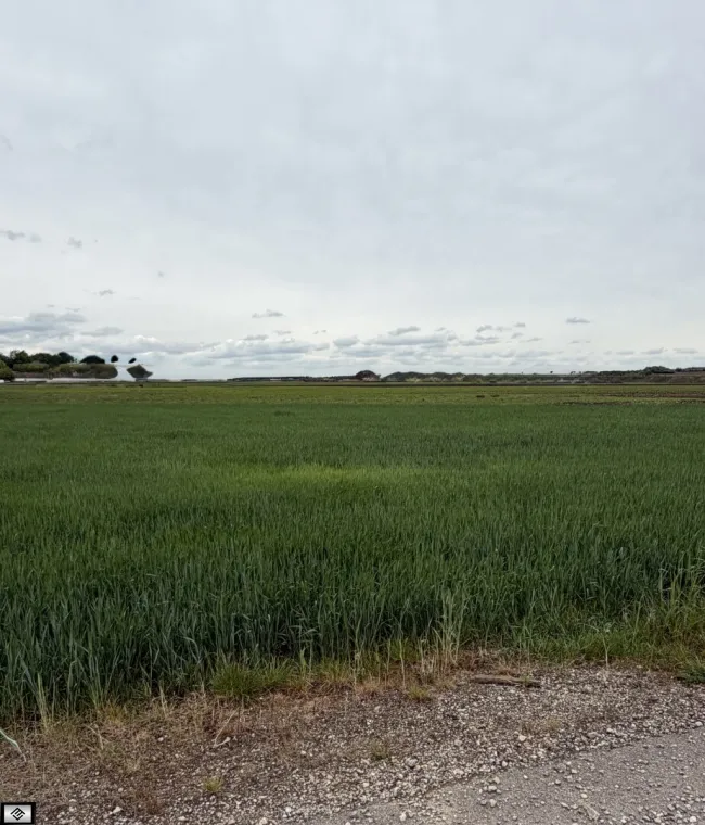 10.933m2 Bauland-Betriebsgebiet mit Erweiterungspotenzial auf 40.000m2 nördlich von Wien ! - Titelbild