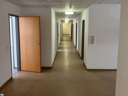 Büro mit 555m² zu vermieten neben Linke Wienzeile