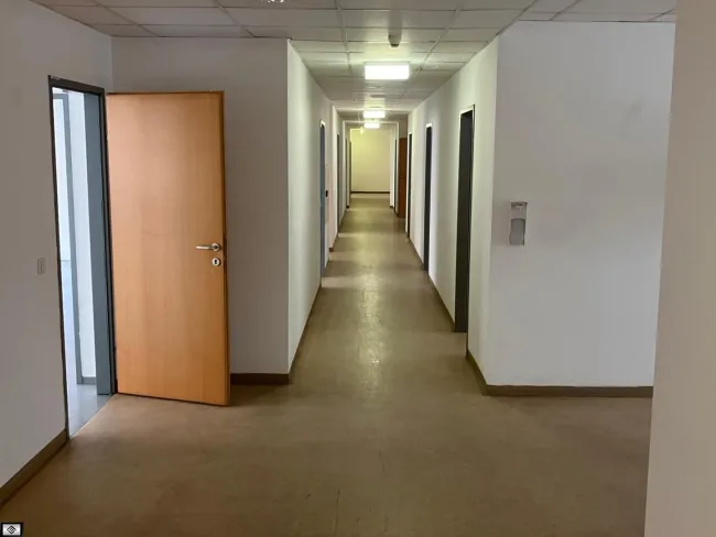 Büro mit 555m² zu vermieten neben Linke Wienzeile - Bild