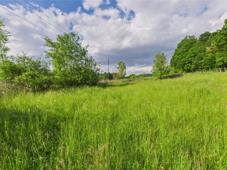 Oase der Ruhe mit Ausbaumöglichkeit – Grundstück für ein Leben im Einklang mit der Natur