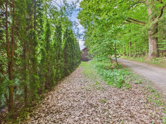 Oase der Ruhe mit Ausbaumöglichkeit – Grundstück für ein Leben im Einklang mit der Natur - Bild