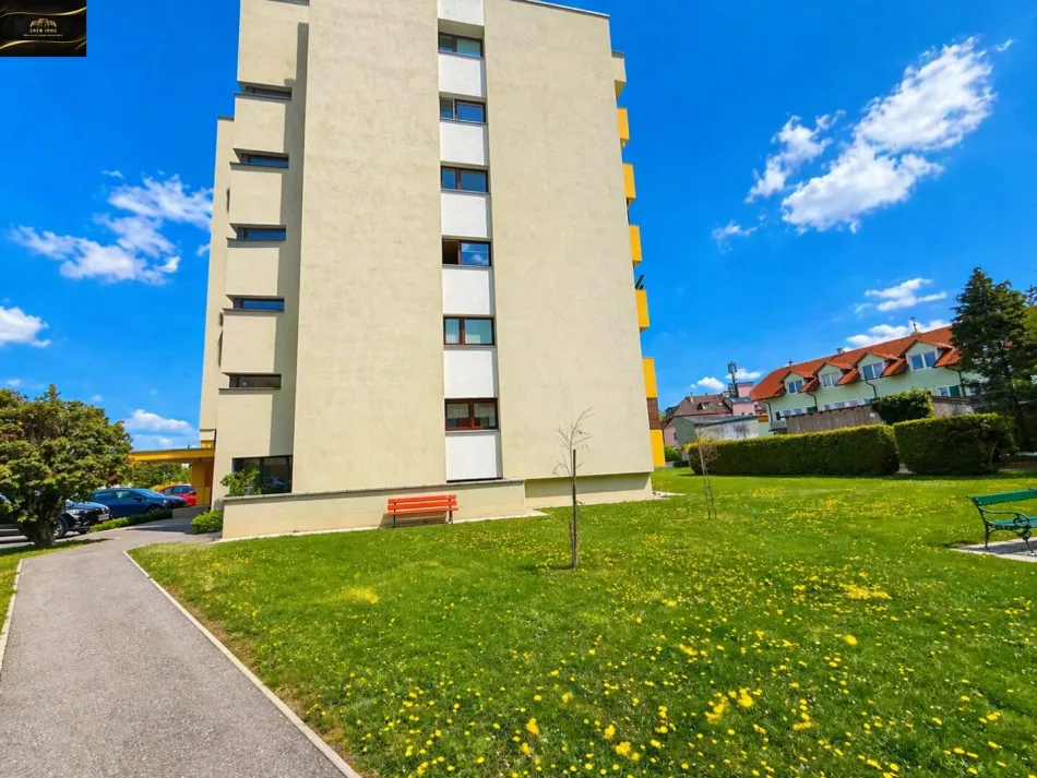 **Großzügige 3-Zimmer-Wohnung nahe Panoramapark** - Bild