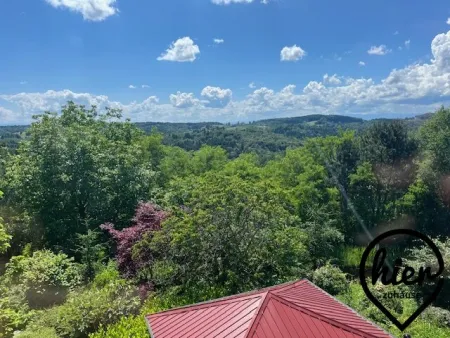 *** Rarität ca. 15 Min. von GLEISDORF entfernt: Exklusive Villa mit SW-Fernblick auf terrassiertem Traumgrundstück und eigenem Wald in der Südoststeiermark*** - Titelbild
