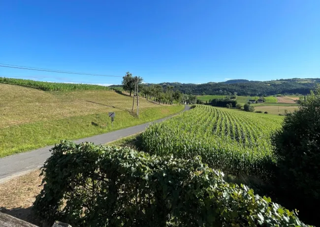 Rückzugsort mit 7.600 m² Grund & Fernblick – Natur, Ruhe & Möglichkeiten in St. Nikolai im Sausal - Titelbild