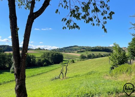 Rückzugsort mit 7.600 m² Grund & Fernblick – Natur, Ruhe & Möglichkeiten in St. Nikolai im Sausal