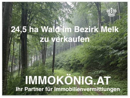 Rare Gelegenheit: 24,5 ha Wald samt 1,2 ha landwirtsch.NFL verkaufen