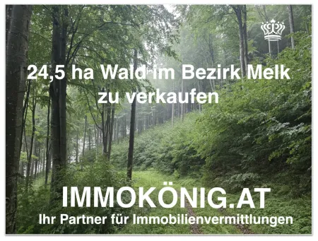 Rare Gelegenheit: 24,5 ha Wald samt 1,2 ha landwirtsch.NFL verkaufen