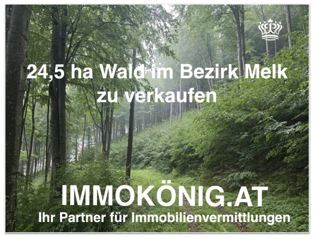 Rare Gelegenheit: 24,5 ha Wald samt 1,2 ha landwirtsch.NFL verkaufen - Titelbild