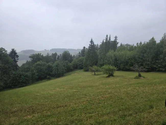 Landwirtschaftliche Nutzfläche Umbach
