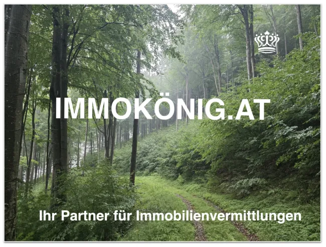 Wald Umbach IMMOKÖNIG.AT