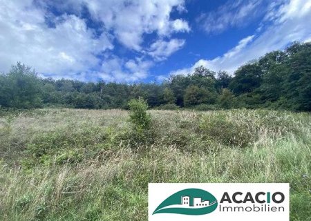 Waldsiedlung Nest - Premiumgrundstück 940 m²