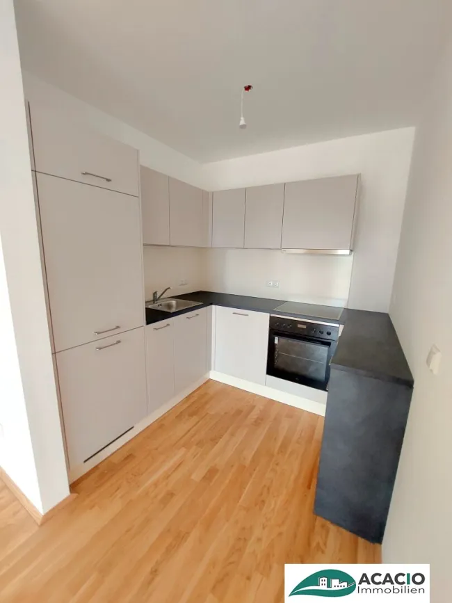 Morgensonne genießen: helle Wohnung mit ostseitiger Loggia inkl. Küche - inkl. PKW-Stellplatz – Neubau! Erstbezug! - Nähe St. Pölten - Bild