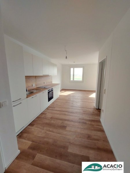 helle 4-Zimmerwohnung / Neubau / topmodern / Erstbezug - Ihr Wohn(t)raum im Tullnerfeld - Tiefgarage vorhanden!
