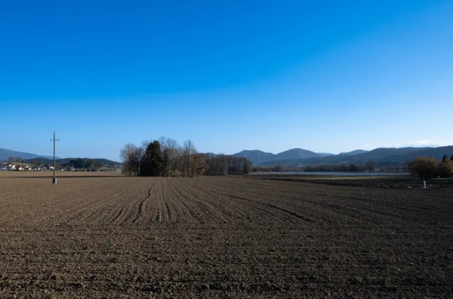 Baugrundstück in Mettersdorf (St. Andrä) - Bild