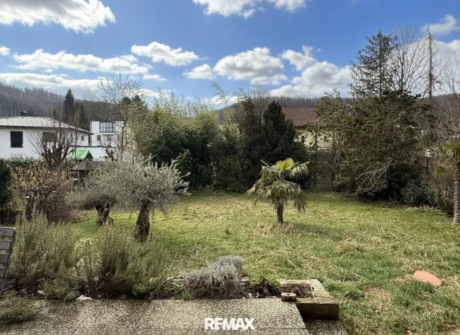 Garten mit Palmen