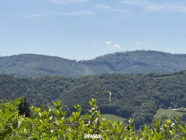 Fernblick