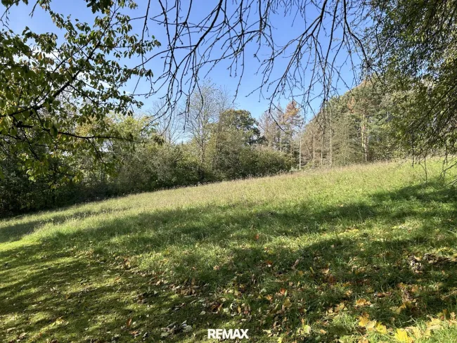 Gartenblick in die Ruhe