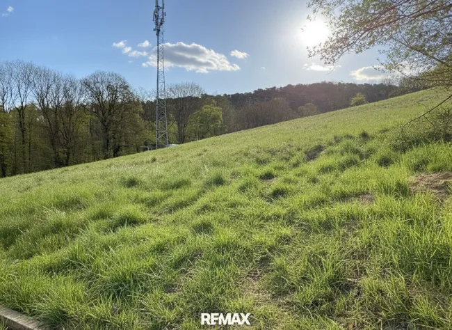 Blick ins Grüne