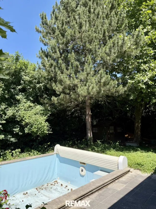 Garten mit Pool