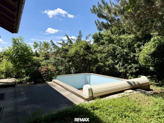 Garten mit Pool