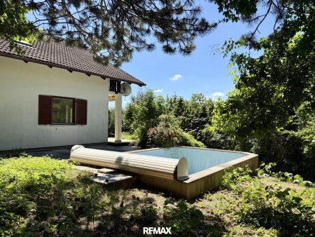 Garten mit Pool