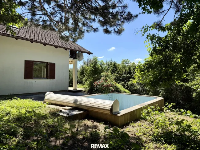 Garten mit Pool