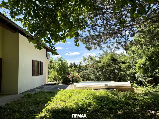 Garten mit Pool