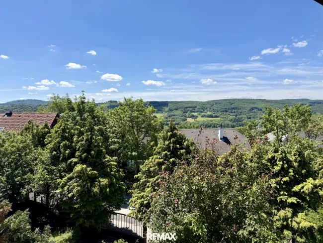 Ausblick