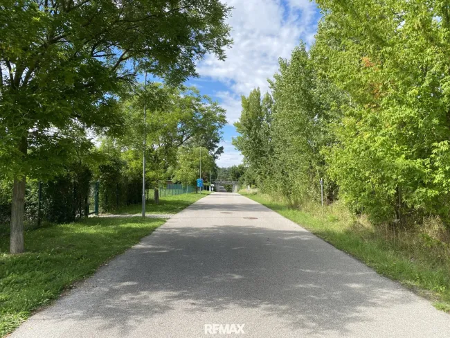 Zugang zum See