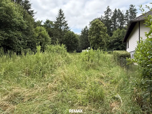 Vom Garten aus