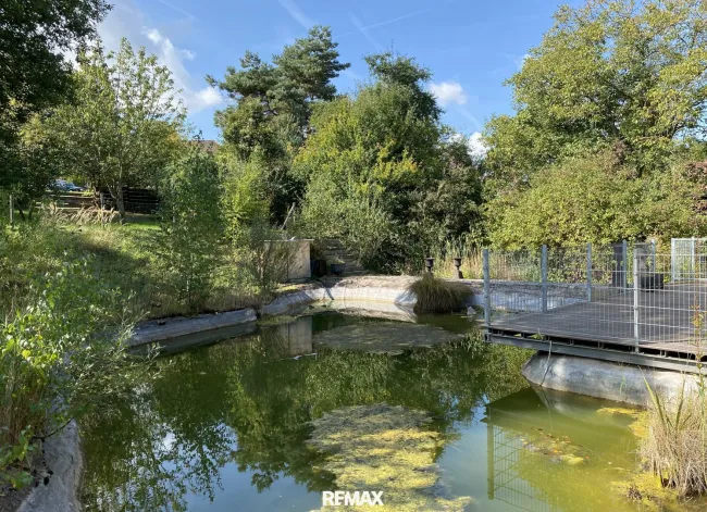 Schwimmteich