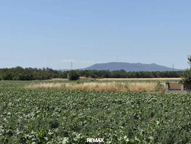 Ausblick vom Garten