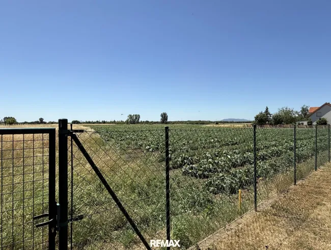 Ausblick vom Garten