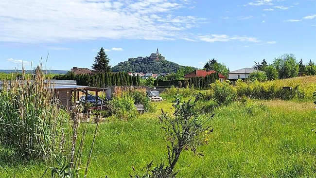GÜSSING - Traumhafter Baugrund mit Burgblick | Tiny House sofort bewohnbar | Bungalow mit Pool bereits bewilligt - Titelbild